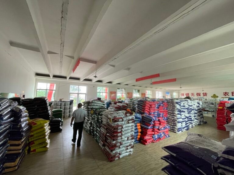 20240725 150246 768x576